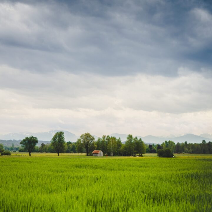 A vertical shot of a beautiful green field with an old barn visible in the distance located near alps of Bavaria, Germany